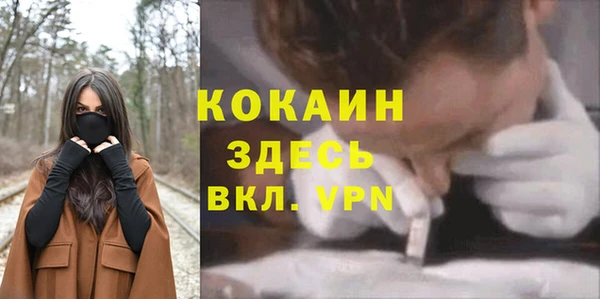 не бодяженный Осташков