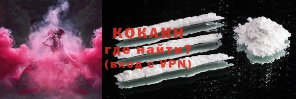 гашик Няндома