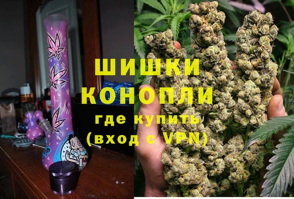 гашик Няндома
