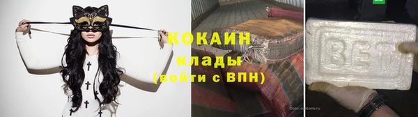 гашик Няндома