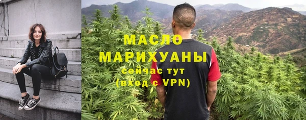 гашик Няндома