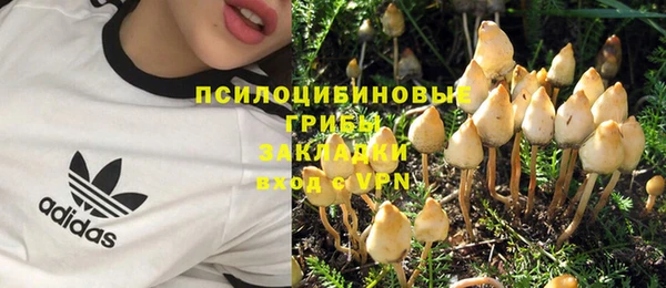 твердый Нягань