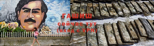 гашик Няндома