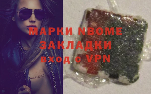 гашик Няндома