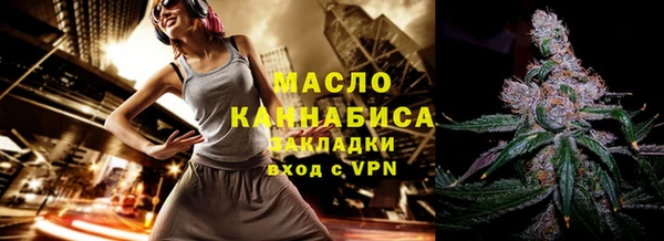 гашик Няндома