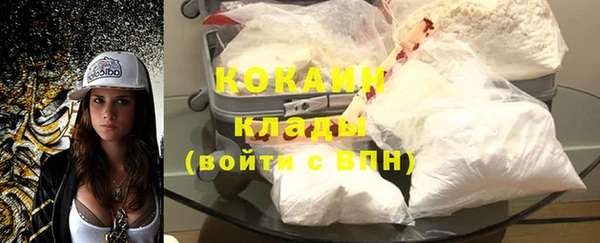 гашик Няндома