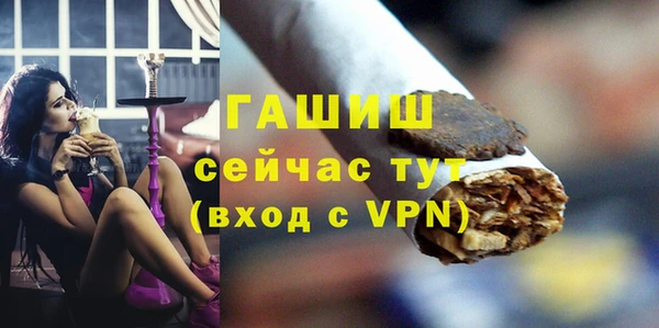 гашик Няндома