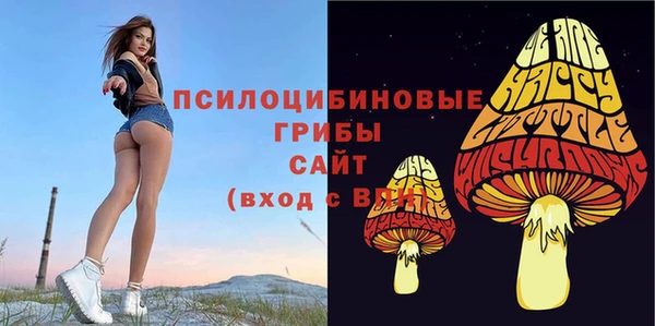 твердый Нягань