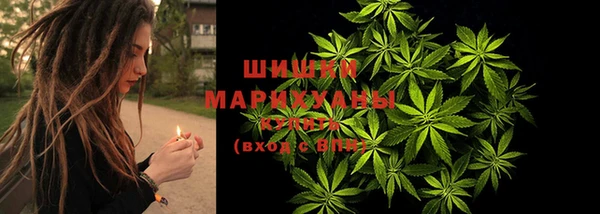 прущие грибы Ельня